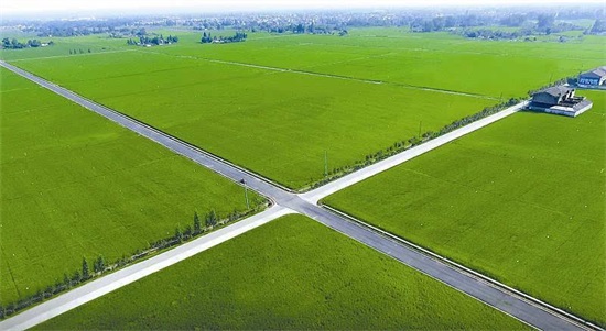 千阳县2015年度高标准农田建设项目九标段